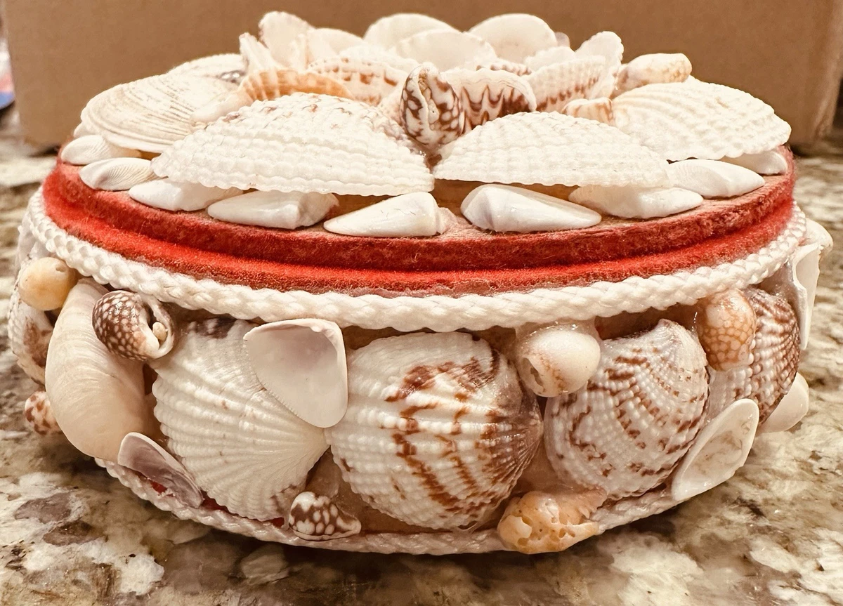 收藏贝壳装饰| eBay