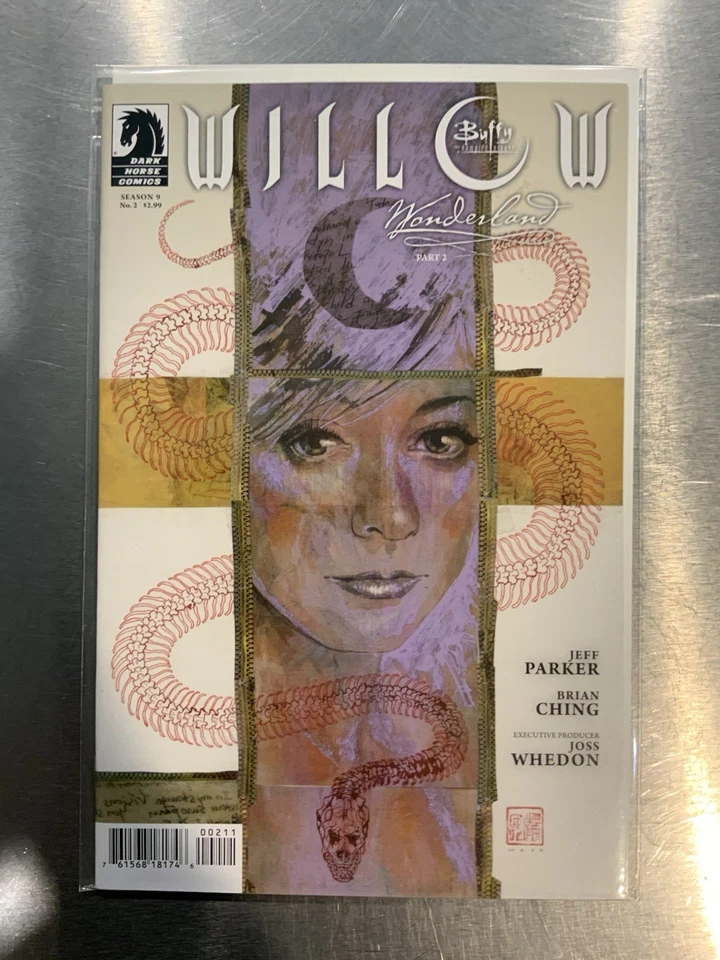 Lote de cómics de Buffy The Vampire Slayer títulos relacionados en estado bastante bueno/casi nuevo 10 libros Dark Horse IDW Foto 4 de 4