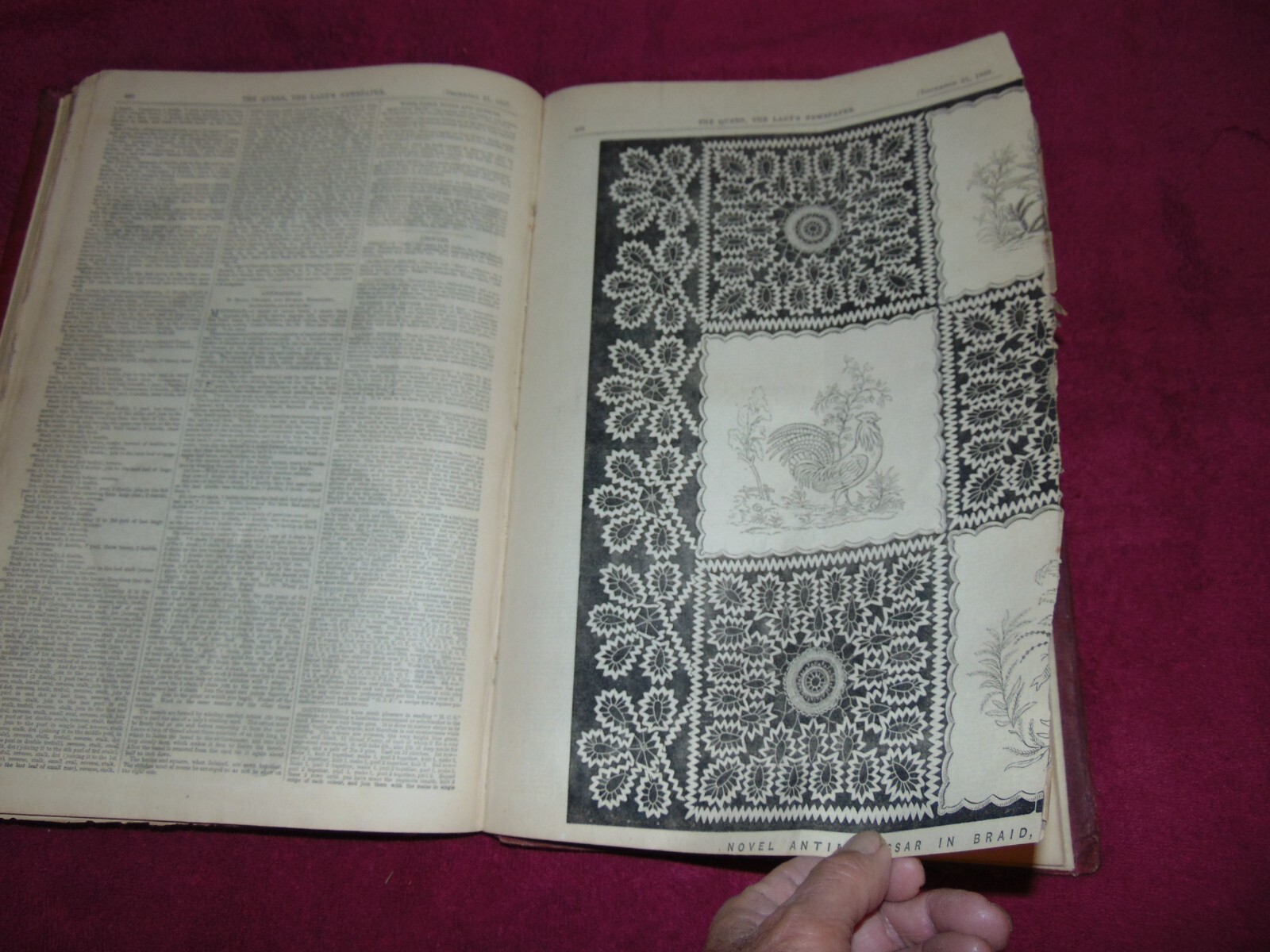 Picture 19 of 21