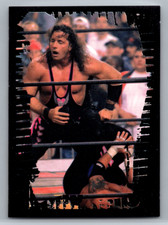 Bret Hart 1999 Panini WCW/nWo Sticker 84 New World Order