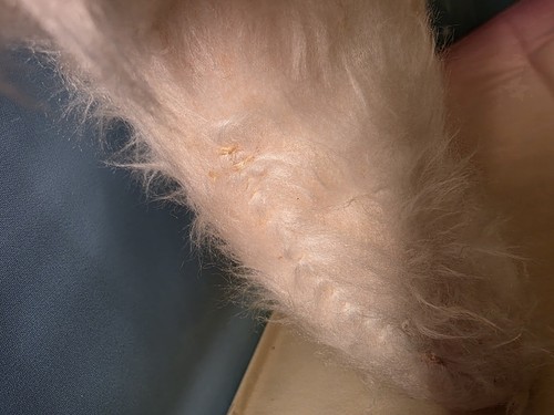 Vintage Rubber Face Baby Doll Plush - Picture 4 of 4