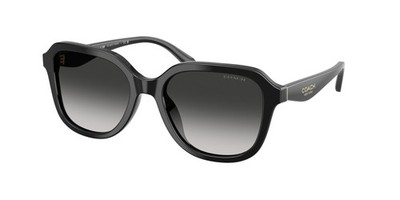 COACH HC8437U 50023C Cby87 Black Grey Gradient 53 mm Women's Sunglasses