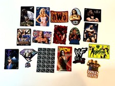 Assorted WWF/WCW Unused Stickers / NWO / Undertaker/ Stone Cold / CHOOSE ONE...