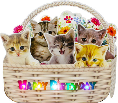 Musical Cat Birthday Pop-Up Card with LED Lights   2 Happy Birthday Songs Meows