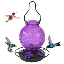 Glass Hummingbird Feeders for Outdoors Hanging, 23Oz Humming Bird Nectar Feed...
