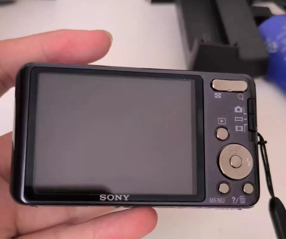 Sony Cyber-shot DSC-W570 16.1MP Digital Camera 5x Zoom with