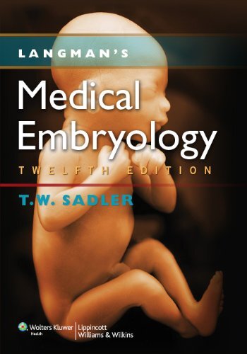 Langman's Medical Embryology by Thomas W Sadler | eBay