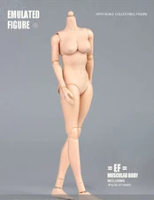 US 1/6 Female Flexible Pale Body Medium Bust for 12" Action Figure Soldier Model