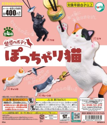 Fascinating body chubby cat 4 types (gacha) capsule Tarin International 313Y