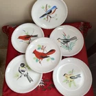 Set Of 6 Vintage Westmoreland Milk Glass Plates With Handpainted Birds