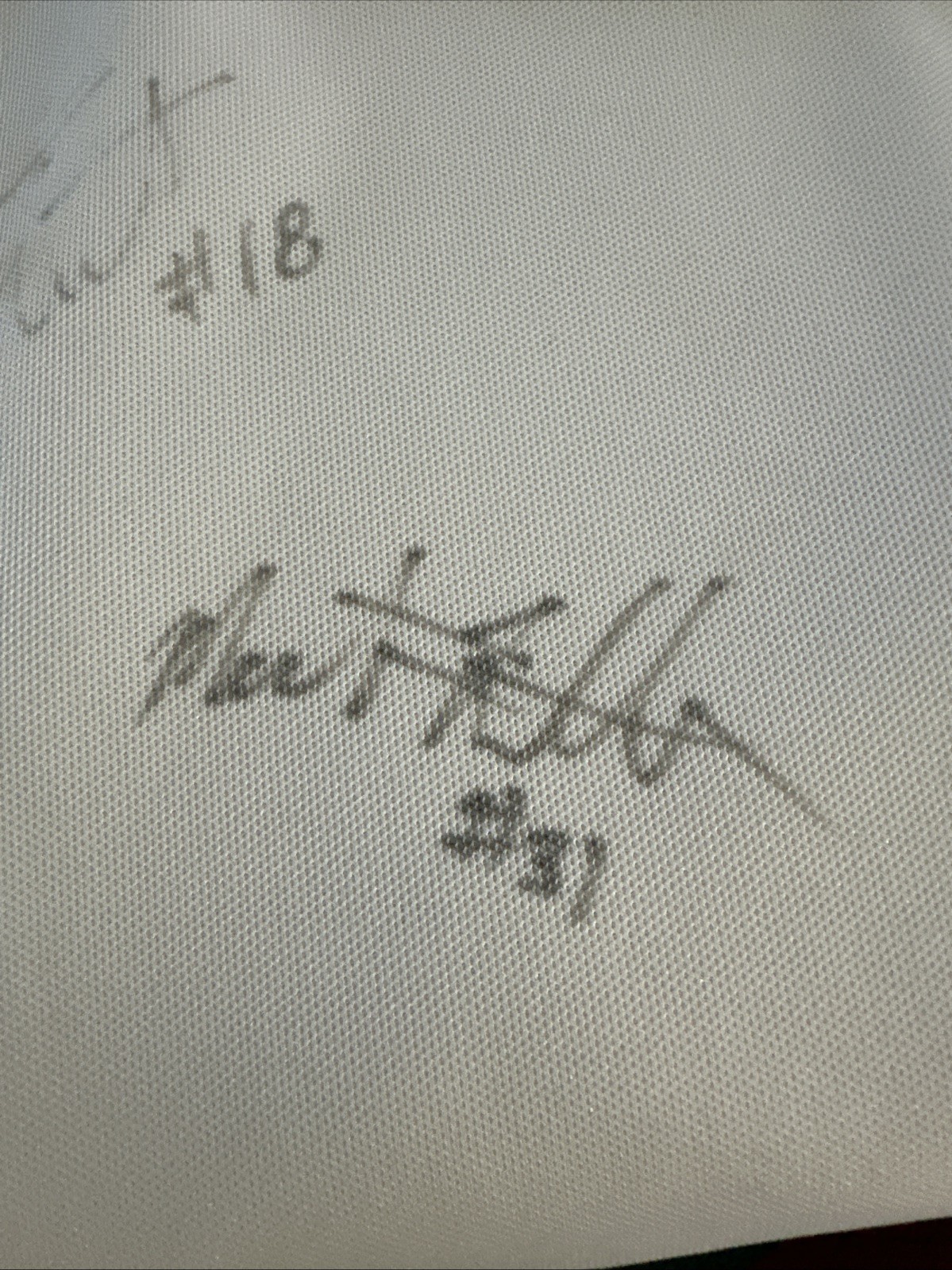 Picture 15 of 16