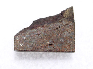 .274 grams•NWA 7487 Meteorite•H4•Cut Fragment Rare•COA