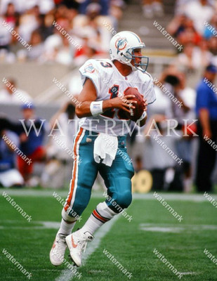 EI343 Dan Marino Miami Dolphins 8x10 11x14 16x20 Photo