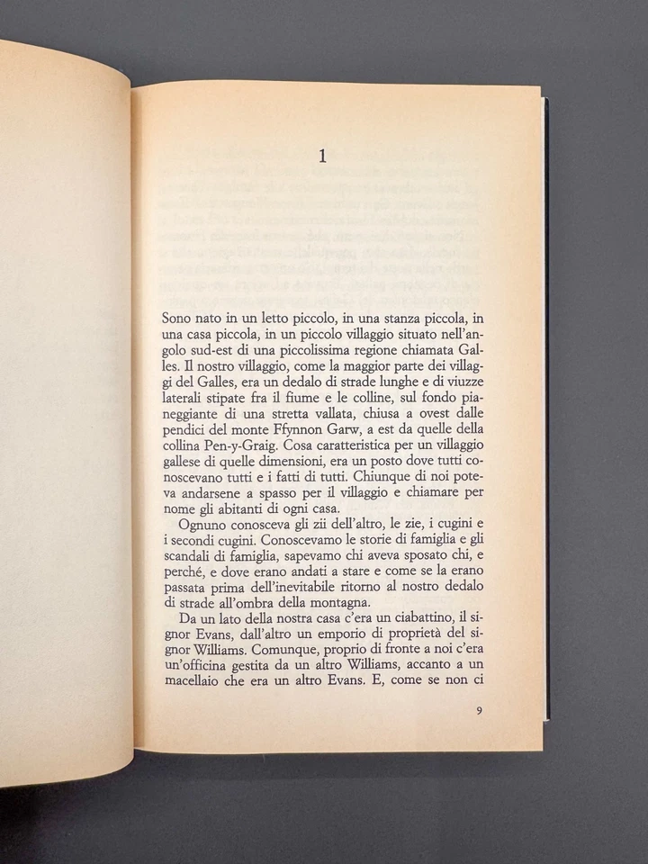 L'inglese che salì la collina e scese da una montagna Libro Romanzo Sonzogno - Immagine 3 di 4