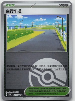 Cycling Road 127/128 Arcane Truth Pokemon Chinese NM/M Pokemon