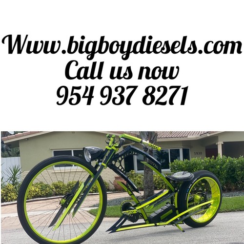 CUSTOM BUILD LOW RIDER ELECTRIC BIKE 