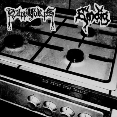 HAPPY DAYS / EINDIG   The First Step Towards Suicide SPLIT CD