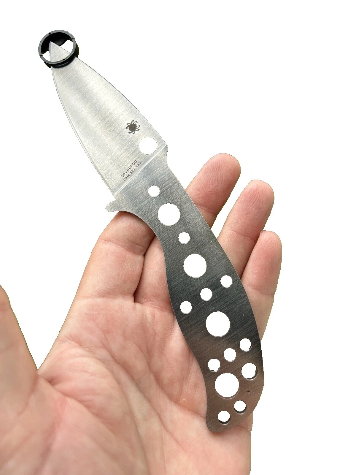 Spyderco Spear Point Collectible Modern Fixed Blade Knives