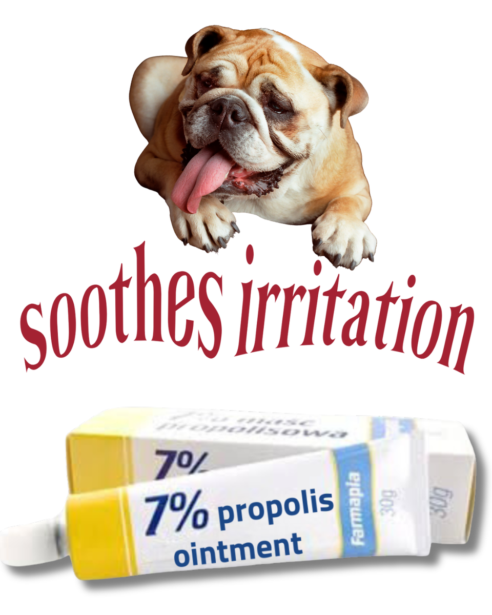 Skin Cream Anti Itch Ointment For Dogs Zymox Topical Cream With