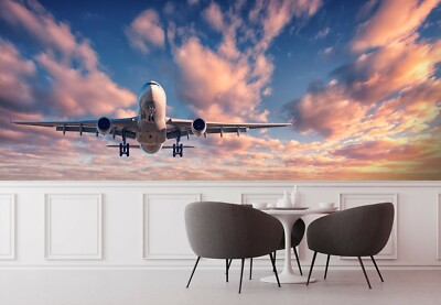 3D Airplane Sky G513 Transport Wallpaper Mural Self-adhesive Removable Wendy