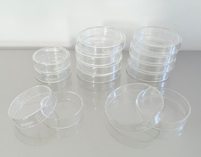 12 Petrischalen Industrial Labor Molekularküche Deckel Gewürzdose Aufbewahrung