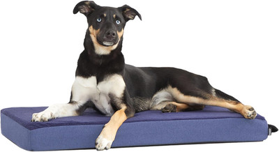 Orthopedic Dog Bed with Memory Foam, Premium Comfort for Dogs and Puppies, Dog B