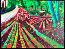 David Hockney Lithographie COA