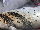 Foto 10 di 16