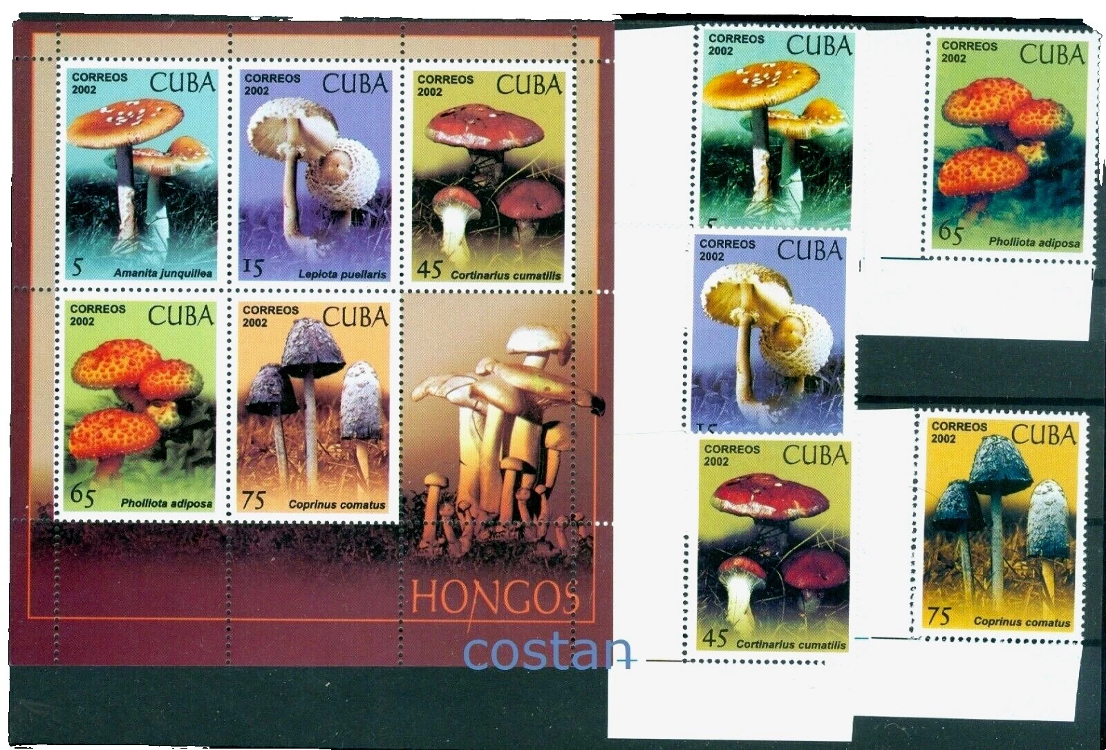 Mint Never Hinged/MNH Postal 2001-2010 Year of Issue Stamps
