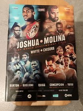 Anthony Joshua VS Eric Molina Programme