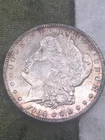 1904-O Morgan Silver Dollar Spectacular Natural Toning And Appeal