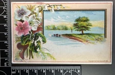 Antique Victorian Era Trade Card Advertising Ephemera - Albany NY 