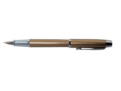 Parker Füllhalter Füller IM DUST Staub CT Feder M glänzende Oberfläche S0948210 