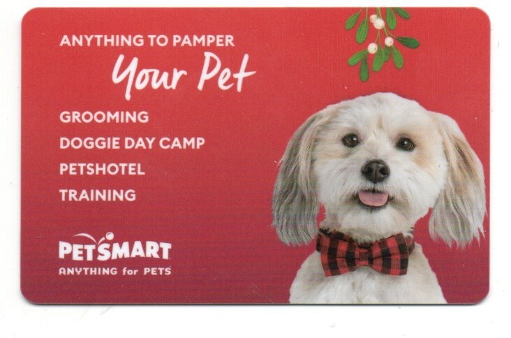 Petsmart Cute Dog Mistletoe Pamper Gift Card No $Value Collectible 2022 New Font