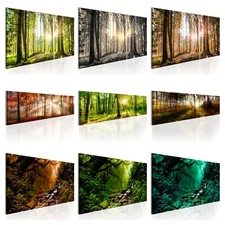 FOREST NATURE Canvas Print Framed Wall Art Picture Photo Image c-B-0077-b-b