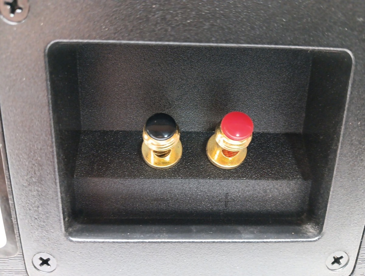 Pioneer SP-C22 Andrew Jones Designed 90 Watt Center Channel 