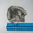 RARE Bergmoto Bergamot Buckle — photo 3