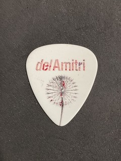 Justin Currie del Amitri Logo Signature Guitar Pick (Q)