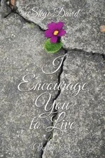 I Encourage You to Live: Volume One by David, Skye [Paperback]