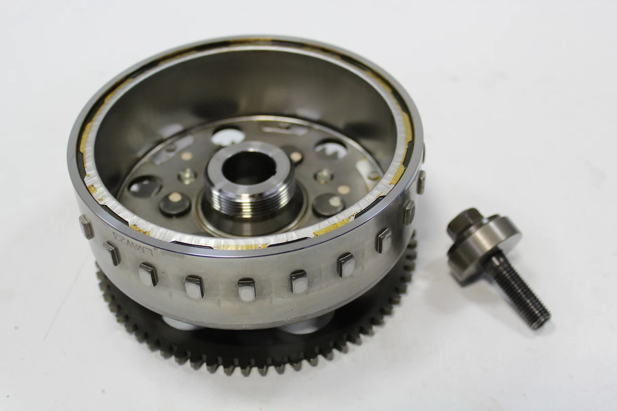 Ninja 2024 300 stator