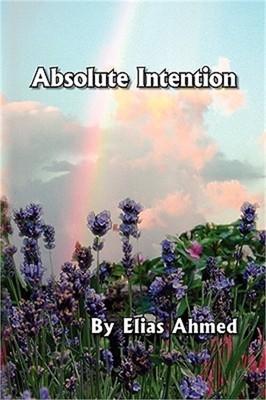 Absolute Intention (Hardback or Cased Book)