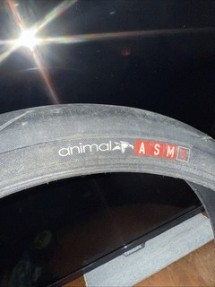 Animal ASM Bmx Tire 20x2.1 110psi Black Midschool Used