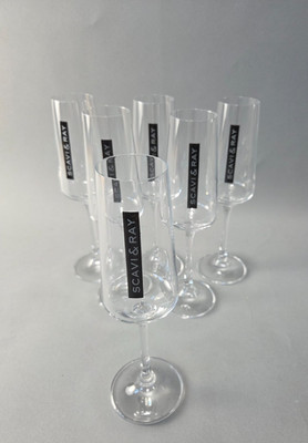 6x Scavi & Ray Sektglas Acryl 0,1l Eichstrich Flöte Champagnerglas Bar NEU