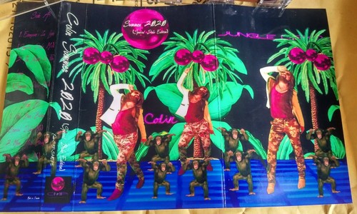 Colin Summer 2020 (Special Disko Edition) Cassette Jungle Disko - Picture 4 of 5