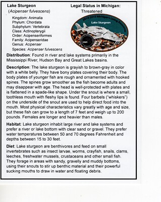 2014 LIVING RESOURCE LAKE STURGEON (PAPERWORK ONLY) - MICHIGAN DNR DEER PATCH