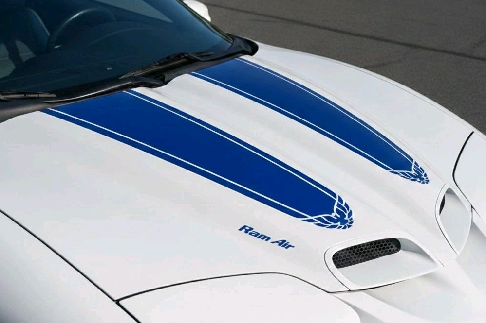 Rally Stripe Fits: 1998-2002 Trans Am Firebird Decal 30th