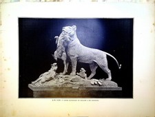 Incisione - Leonessa Che Riporta Un Cinghiale Ai Suoi Cuccioli - A. N. CAIN