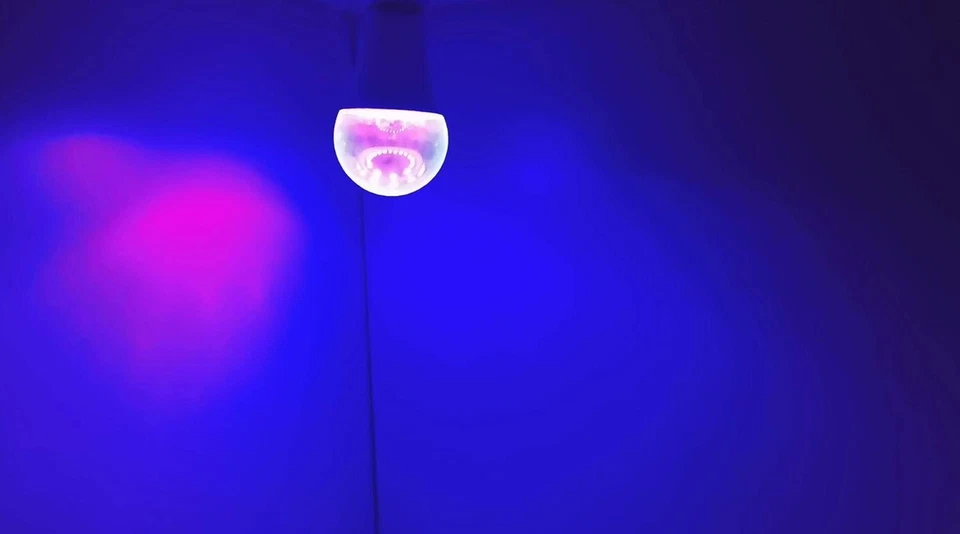 ️ 3 - US 10W UV LED Black light Bulbs A19 E26 E27 UV Blacklight Bulbs UVA - Image 4 of 4