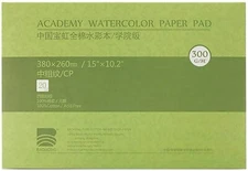 BAOHONG Academy Grade Watercolor Painting Paper, 100%Cotton Cold Press, 20 Sheet