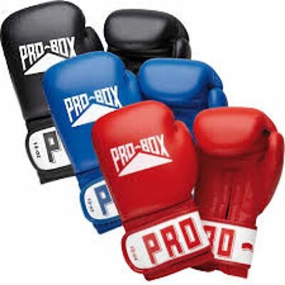 Pro Box Leather Club Essential Boxhandschuhe MuayThai Kickboxen Sparring Handschuhe